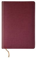 Ежедневник ф.А5 (145*210 мм), "Novela", датированный 2009 г, ляссе, адресно - телефонная книга, мягкая обложка из искусственной кожи, 336 с, "EXPERT", уцененный