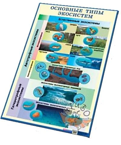 Пугал Н.А, Козлова Т.А. Основные типы экосистем. Естественные экосистемы. - ф.60*90. - М.: Айрис-пресс, 2005. - Глянцевый односторонний плакат.
