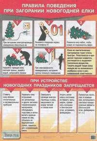 Латчук В.Н, Миронов С.К. Правила поведения при загорании новогодней елки. ф.70*100. - М.: Дрофа, 2005. - Глянцевая односторонняя карта.