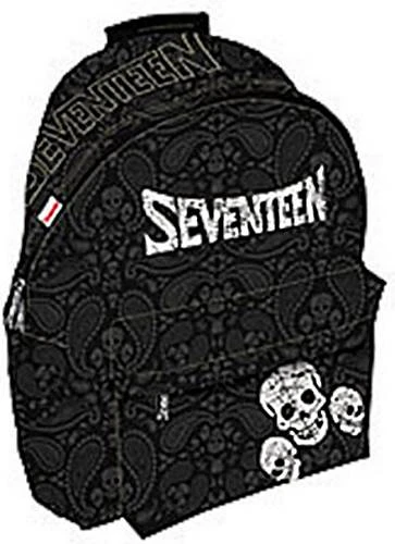 Рюкзак "Seventeen", молния, карман, полиэстер, 360*250*120 мм, "Академия Групп"