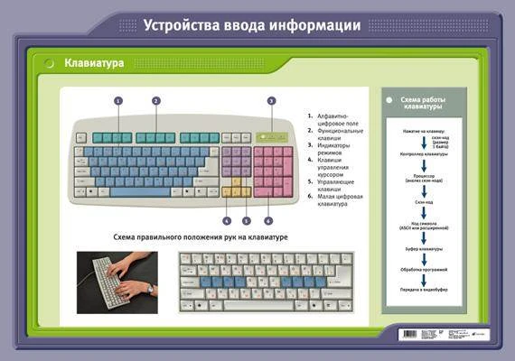 Устройства ввода информации. Клавиатура: Учебное наглядное пособие. - М.: Дрофа, 2008. - Глянцевая односторонняя карта.