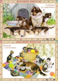 Домашние животные. Собака со щенками/ Кошка с котятами. Дрофа. Двухсторонняя карта