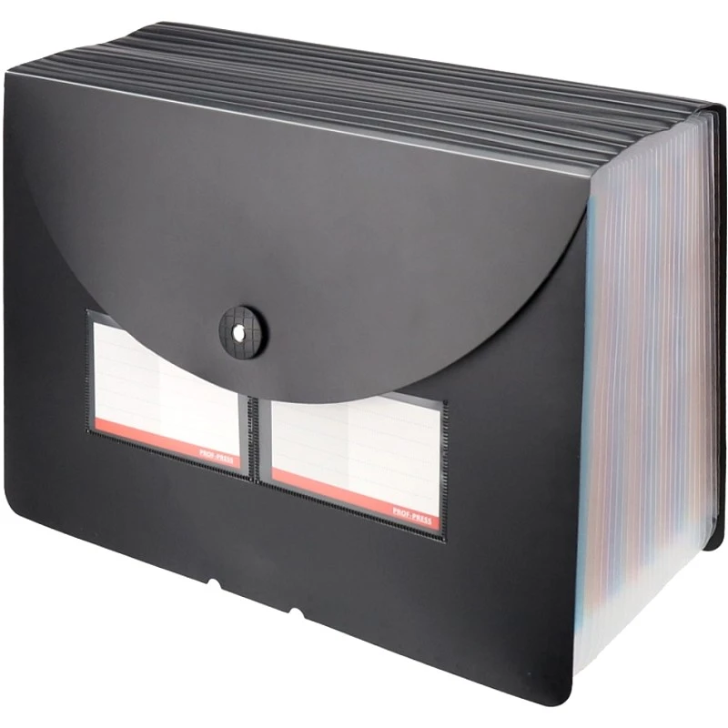 Папка-картотека ф.А4 (330*240 мм), 24 отделения с ярлыками, торец от 25 до 140 мм, застежка, пластик