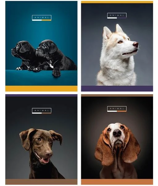 Тетрадь 48 л. ф.163*205 мм, клетка, блок 70 г/м2, белизна 100 %, поля, скоба, ламинированная обложка, "Greenwich Line"