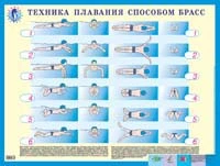 Протченко Т.А, Семенов Ю.А. Учись плавать! Техника плавания способом брасс. - ф.58,7*44. - М.: Айрис-Дидактика, 2003. - Глянцевый односторонний плакат.