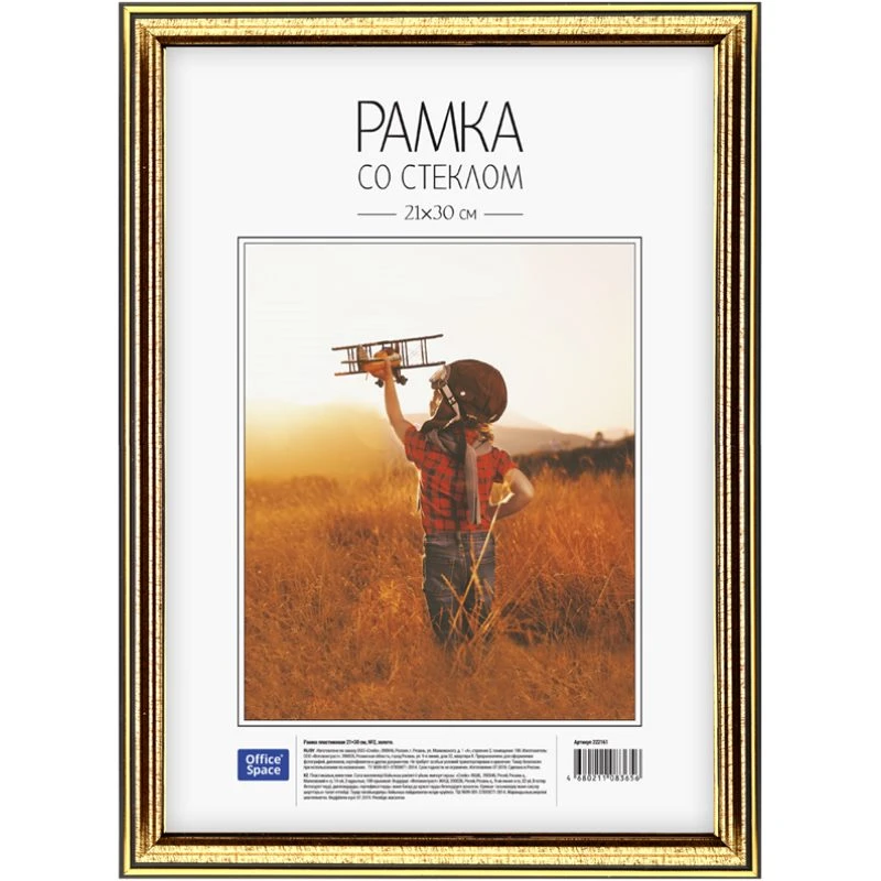 Рамка настенная, багет 10 мм, пластик, вставка - стекло, 210*300 мм (А4), "OfficeSpace"