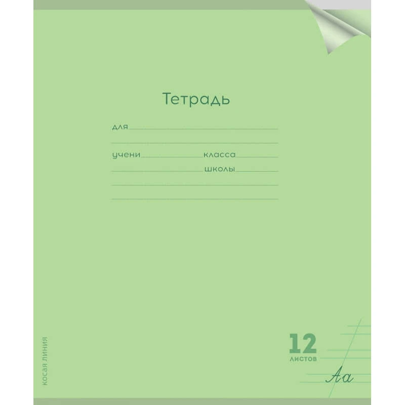 Тетрадь 12 л. ф.А5 (202*163 мм), косая линия, белизна 90%, поля, скоба, пластиковая обложка 0,18 мм, "Проф-Пресс"
