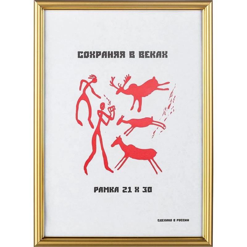 Рамка настенная 590, золотистый багет 14 мм, пластик, стекло, 210*300 мм (А4), "Монолит"