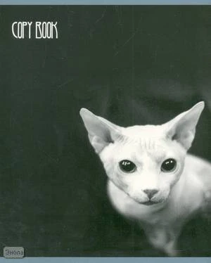 Тетрадь 48 л. ф.203*170 мм, клетка, белизна 92 %, поля, скоба, цветная карт. обложка, "Opla"