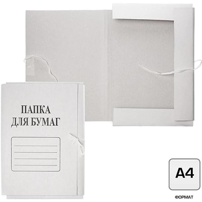 Папка для бумаг ф.А4 (210*305 мм), торец 20 мм, 2 завязки, мелованный картон 0,95 мм, 440 г/м2, "БланкИздат"