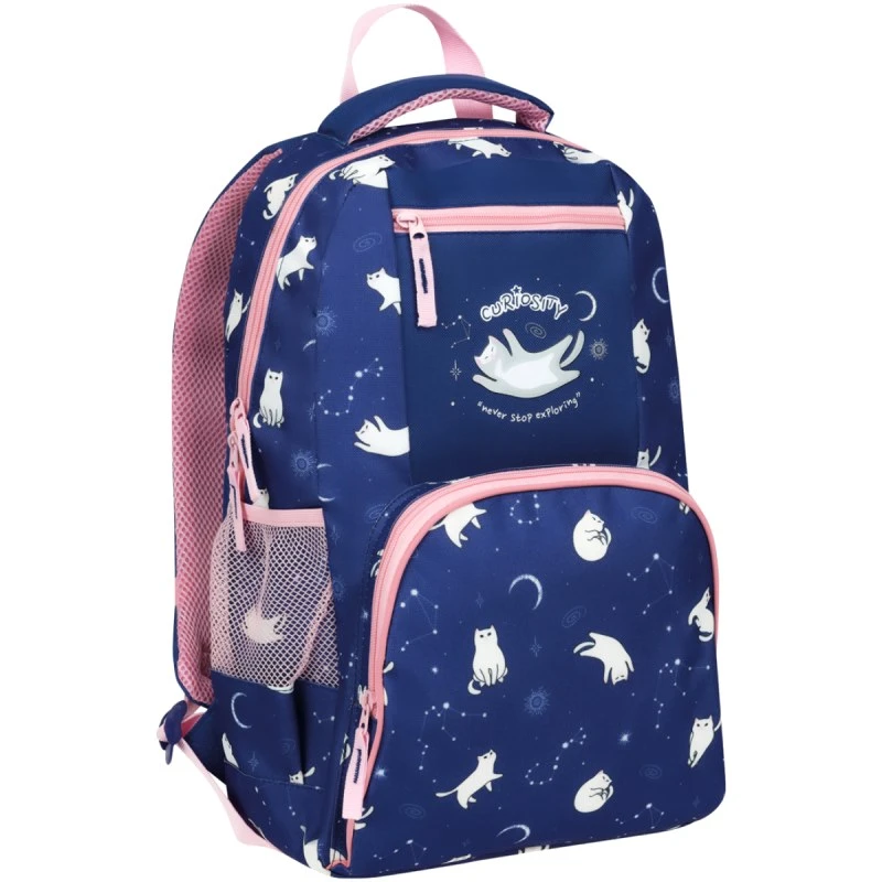 Рюкзак "School", уплотненная спинка, 1 отделения, 4 кармана, молния, полиэстер, 440*310*160, "ArtSpace"