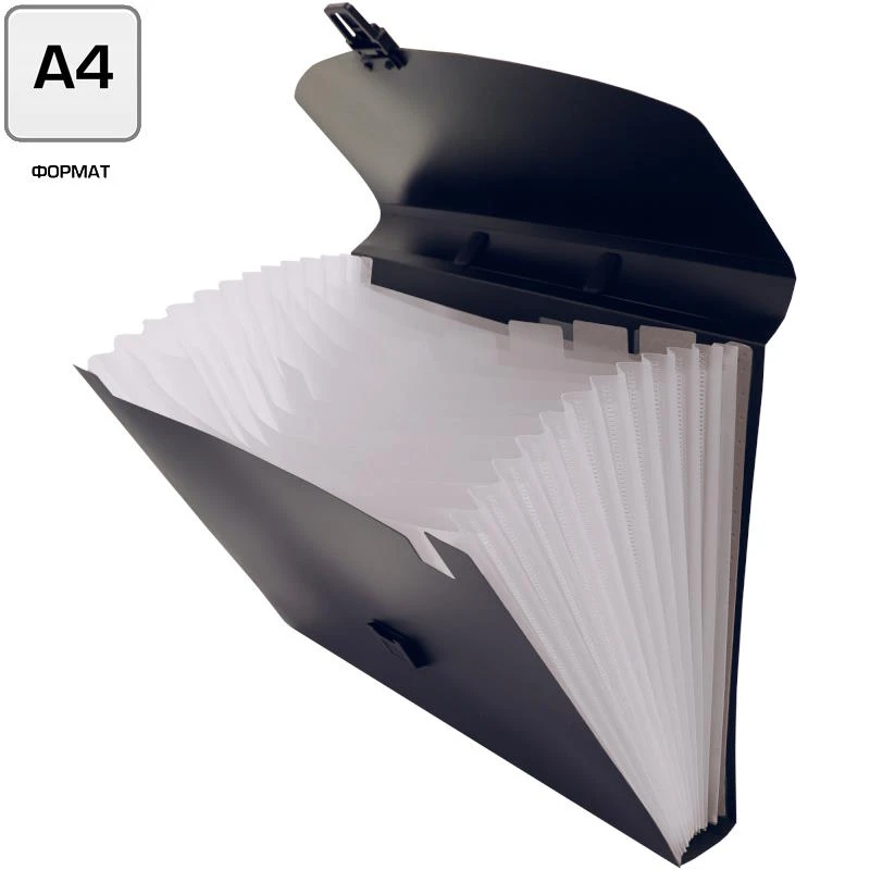 Портфель-картотека ф.А4 (340*230 мм), 12 отделений, торец 40 мм, пластиковый замок, пластиковая ручка, пластик 0,7 мм, "Бюрократ"