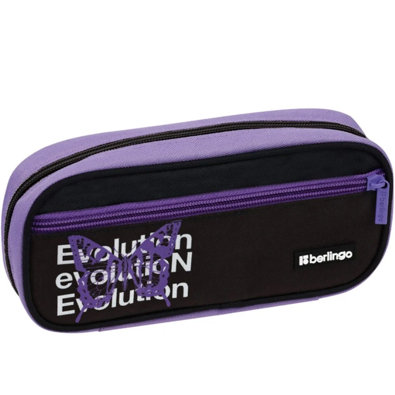Пенал-футляр, 1 отделение, клапан, молния, полиэстер, 220*95*50 мм, "Berlingo"