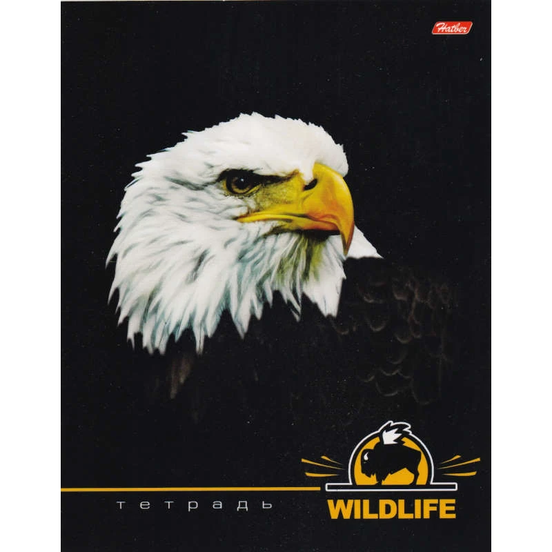 Тетрадь 48 л. ф.163*205 мм, клетка, белизна 100%, поля, скоба, матовая обложка, "Хатбер"