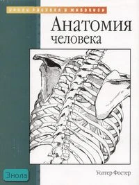 Фостер У. Анатомия человека / Пер. с англ. - М.: АСТ: Астрель, 2004. - 31 с. - (Уроки рисунка и живописи). - мягк. обл.