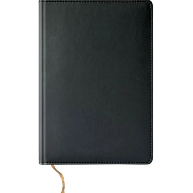 Ежедневник ф.А5 (145*210 мм), "Novela", датированный 2009 г, ляссе, адресно - телефонная книга, мягкая обложка из искусственной кожи, 336 с, "EXPERT", уцененный