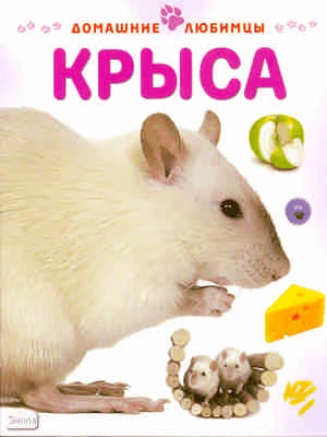 Рейнер М. Крыса / Пер. с англ. Е. Карпинской. - М.: АСТ-ПРЕСС СКД, 2010. - 32 с. - (Домашние любимцы). - мягк. обл.