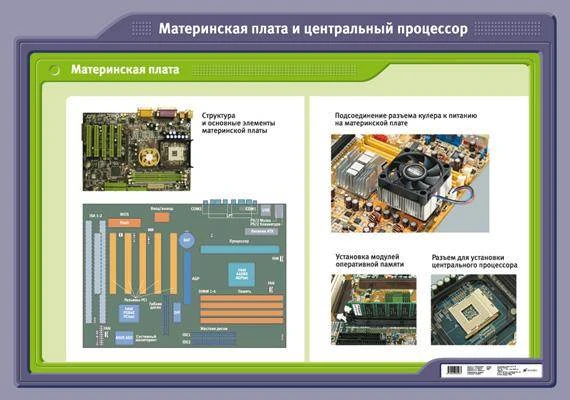 Материнская плата и центральный процессор: Учебное наглядное пособие. - М.: Дрофа, 2008. - Глянцевая односторонняя карта.