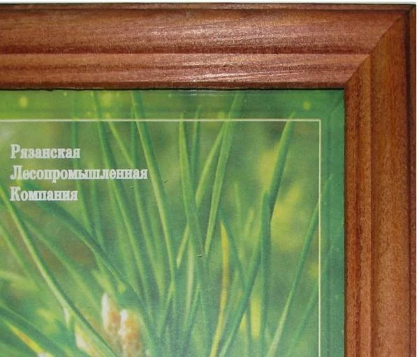 Рамка настенная, дерево "Красное дерево", стекло, 100*150 мм (А6), "Мир Рамок"