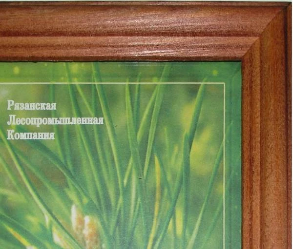 Рамка настенная, дерево "Красное дерево", стекло, 130х180 мм (А5), "Мир Рамок"