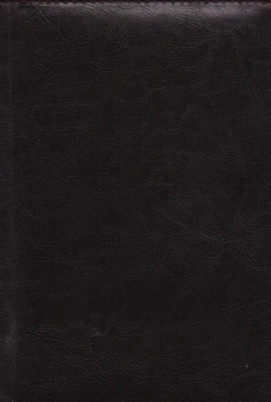 Ежедневник ф.А5 (145*210 мм), "Estilo" датированный 2015 г, ляссе, адресно - телефонная книга, перфорированные уголки листа, двухцветная печать, мягкая обложка из искусственной кожи, 336 с, "Балтик", подходит на 2026 г