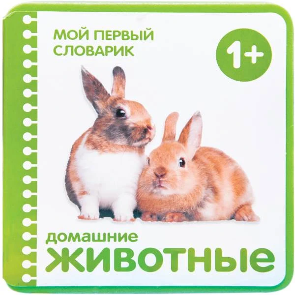 Мой первый словарик: развивающая книжка для детей от 1 года. - М.: Мозаика-Синтез, 2017. - 6 с. - ЕВА, картон/поролон.