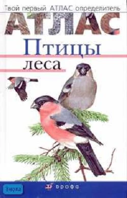 Бровкина Е.Т, Сивоглазов В.И. Птицы леса. - М.: Дрофа, 2014. - 64 с. - (Твой первый атлас-определитель). - тверд. обл.