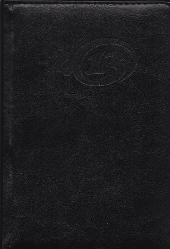 Ежедневник "Estilo" ф.А5 (145*210 мм), датированный 2013, ляссе, адресно - телефонная книга, перфорированные уголки листа, двухцветная печать, мягкая обложка из искусственной кожи, 336 с, "Вентура", уцененный