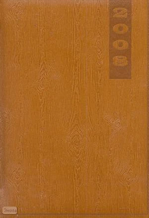 Ежедневник ф.А5 (150*210 мм), датированный 2008 г, ляссе, перфорация уголка, кремовый Уцененный
