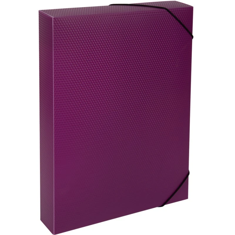 Короб архивный сборный ф.А4 (245*325 мм), торец 50 мм, резинка, полипропилен 0,7 мм, "Expert Complete"