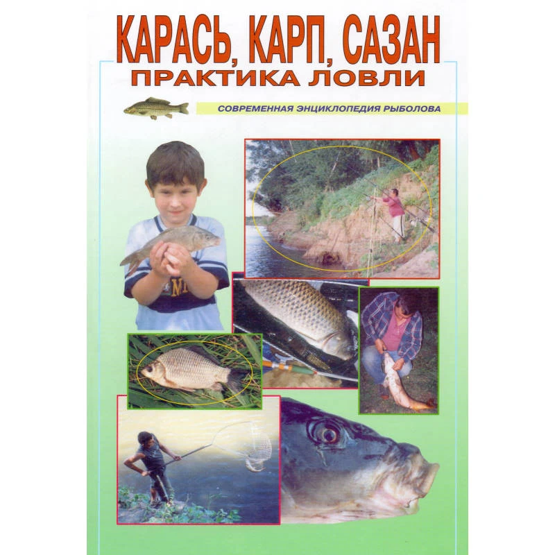 Мишин А.П. Карась, карп, сазан. - М.: Рыбацкая академия, 2003. - 224 с. - (Современная энциклопедия рыболова). - тверд. обл.