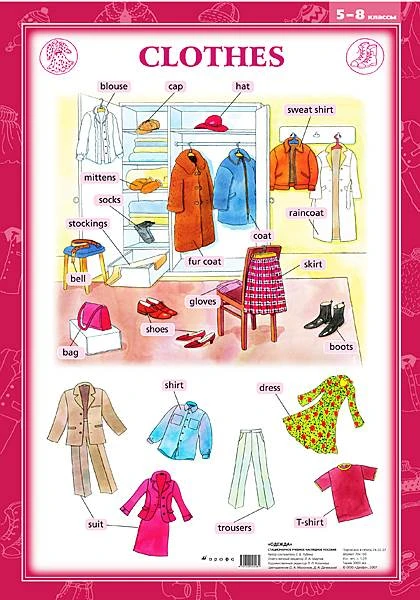 Рубина Е.В. Clothes: Одежда 5-8 классы. - ф.70*100. - М.: Дрофа, 2007. - Глянцевая односторонняя карта.