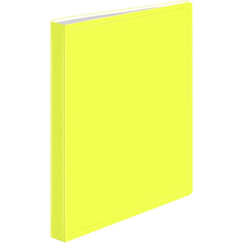 Папка "Double Neon" ф.А4 (230*310 мм), 30 прозрачных файлов, вертикальная загрузка, торец 25 мм, пластик 700 мкм, "Бюрократ"