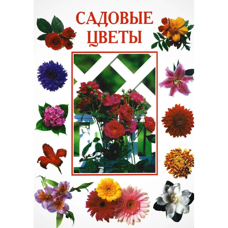 Садовые цветы. - СПб.: Кристалл, 2003. - 176 с. - тверд. обл.