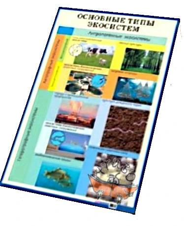 Пугал Н.А, Козлова Т.А. Основные типы экосистем. Антропогенные экосистемы. - ф.60*90. - М.: Айрис-пресс, 2005. - Глянцевый односторонний плакат.