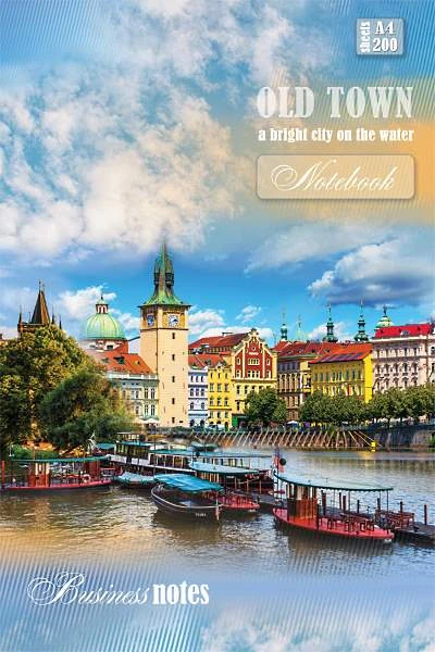 Записная книга 200 л. ф.А4 (202*298 мм). клетка, сшивка, твердая ламинированная обложка, "Проф-Пресс"