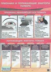 Латчук В.Н, Миронов С.К. Признаки и поражающие факторы пожара. ф.70*100. - М.: Дрофа, 2008. - Глянцевая односторонняя карта.