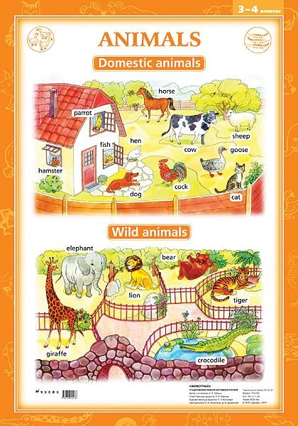 Рубина Е.В. Animals: Животные 3-4 кл. - ф.70*100 см. - М.: Дрофа, 2007. - Глянцевая односторонняя карта.
