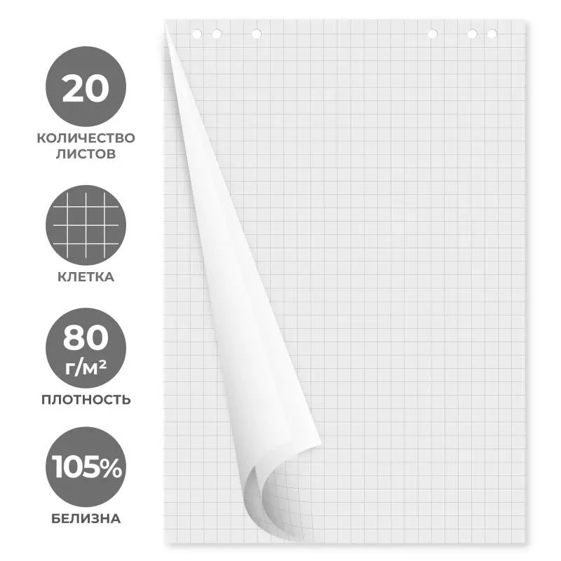 Блок для флипчарта 20 л, белый 80 г/м2, клетка, 675*980 мм, упак. 5 шт, "БланкИздат"