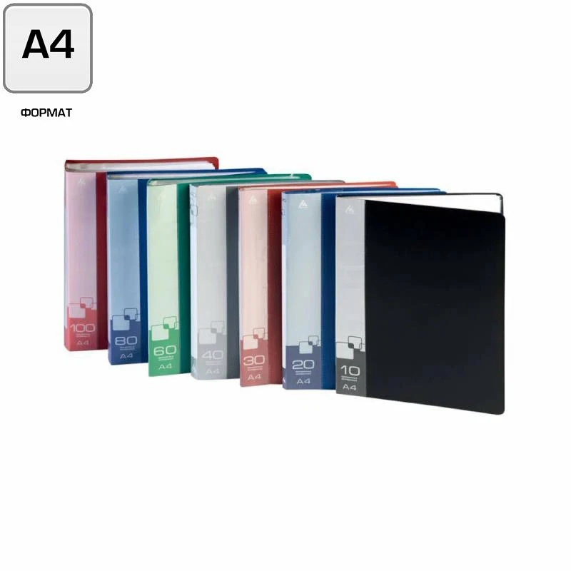 Папка ф.А4 (238*305 мм), 100 прозрачных файлов, вертикальная загрузка, торец 40 мм, регистратор, пластик 800 мкм, "Бюрократ"