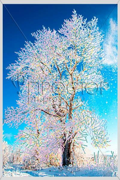 Схема для вышивания бисером "Зимнее кружево", 340*510 мм