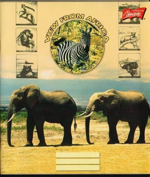 Тетрадь 96 л. ф.170*203 мм, линия, белизна 100 %, поля, скрепка, цветная плотная обложка, "Unipap"