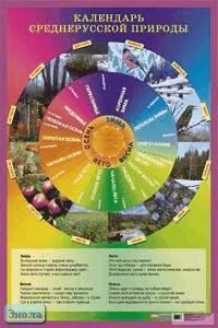 Самкова В.А. Календарь среднерусской природы: Наглядное пособие для начальной школы. - ф.60*90 см. - М.: Айрис-дидактика, 2006. - Глянцевый односторонний плакат.