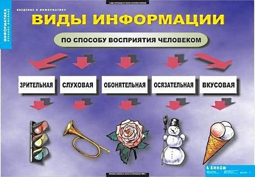 Информатика. Введение в информатику. 1-4 класс. - 12 таблиц + методическое пособие. - М.: Бином.
