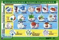Чернов И.Ю. Многообразие живых организмов. - ф.100*70. - М.: Дрофа, 2004. - Глянцевая односторонняя карта.