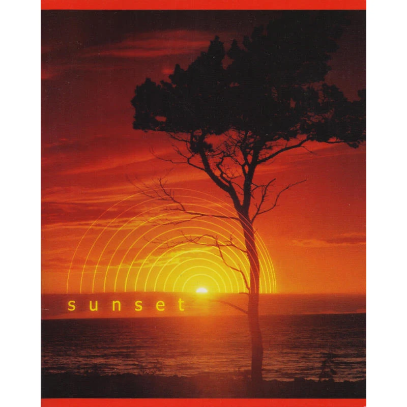 Тетрадь 48 л. ф.164*205 мм, клетка, белизна 92%, поля, скоба, цветная картон. обложка,"Хатбер"