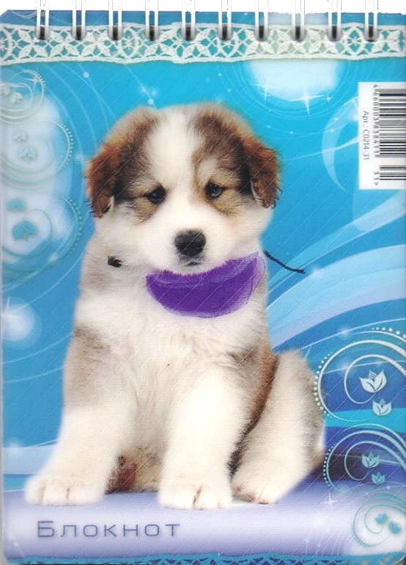 Блокнот "ART PLASTIK" 48 л, ф.А6 (95*130 мм), клетка, гребень сверху, пластиковая обложка, "Апплика"