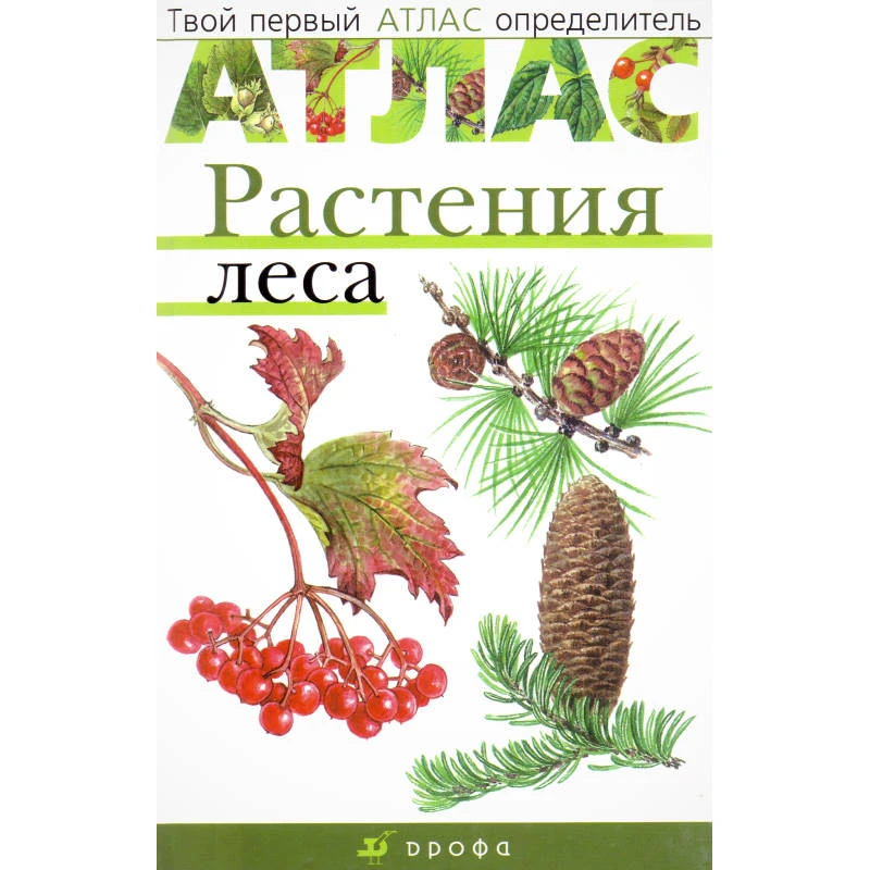 Козлова Т.А, Сивоглазов В.И. Растения леса. - М.: Дрофа, 2007. - 64 с. - (Твой первый атлас-определитель). - тверд. обл.