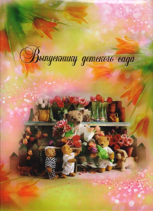 Папка "Выпускнику детского сада" ф. А4 (220*305 мм), ламинированный картон, поролон, "Имидж"
