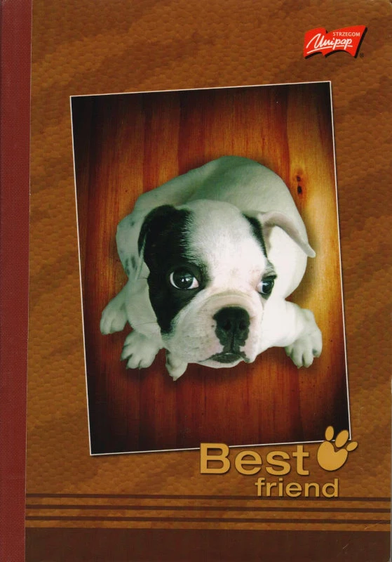 Тетрадь 160 л. ф.В5 (175*250 мм), клетка, сшитая, белизна 100 %, лакированная обложка, "Unipap"